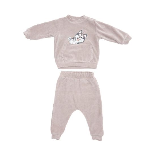 Children's suit velor Twins with embroidery Cat and Dog 74s grey