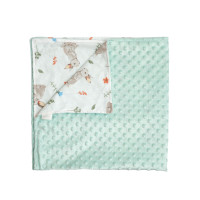 Детский плед Twins Minky Summer 75x80 ментол