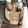 Автокресло Coletto Avanti 15-36 кг, черный