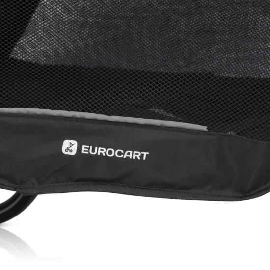 Коляска для двойни Euro-Cart Doblo 2024 Iron