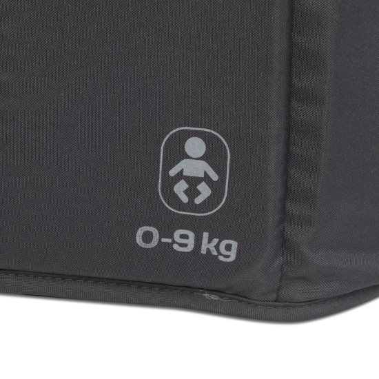 Коляска для двойни Euro-Cart Doblo 2024 Iron