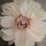 Пустышка Frigg Daisy size 1 (0-6 m) Blush