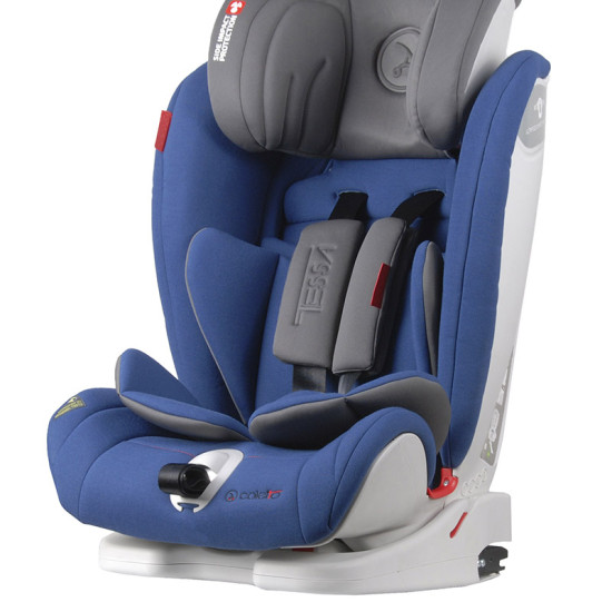 Автокресло Coletto Tessa Isofix 9-36 navy, синий