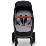 Коляска EasyGo Quantum Air grey fox, серый