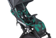 Коляска Coletto Lanza