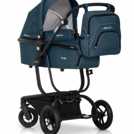 Коляска EasyGo Soul 2 в 1