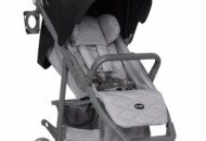 Коляска Euro-Cart Flex