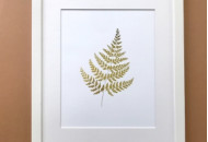 Постер Sabo Golden Fern