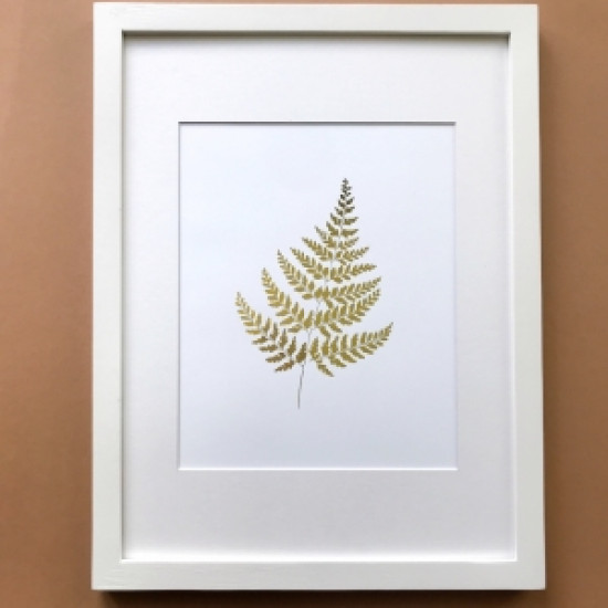 Постер Sabo Golden Fern