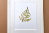 Постер Sabo Golden Fern PS07, white, белый