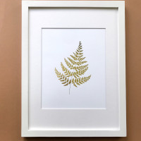 Saber Sabo Golden Fern PS07, White, White
