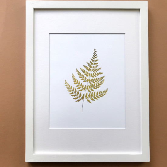 Постер Sabo Golden Fern PS07, white, белый