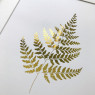 Постер Sabo Golden Fern PS07, white, белый