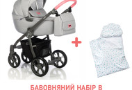 Коляска 2 в 1 Roan Esso Flamingo, серый