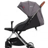 Коляска прогулочная Euro-Cart Spin anthracite графит