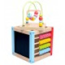Wooden sorter Baby Mix TP-52712 TP-52712, Multicolor, Multicolyr