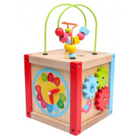 Wooden sorter Baby Mix TP-52712 TP-52712, Multicolor, Multicolyr