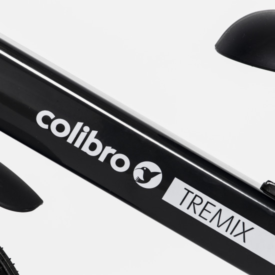 Детский велосипед Colibro TREMIX 4в1 Magnetic