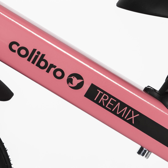 Детский велосипед Colibro TREMIX 4в1 Rose